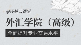 外汇学院（高级）